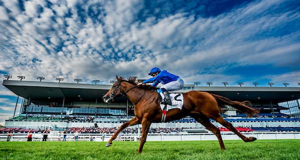Notable Speech, Breeders’ Cup Mile, Woodbine Mile, Woodbine, America's Best Racing, horse racing, ABR